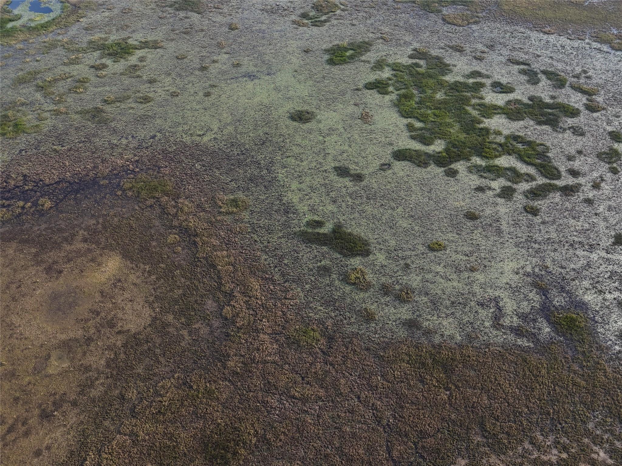 Lake Hatcheneha - Land