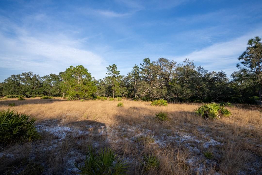 Lake Hatcheneha - Land