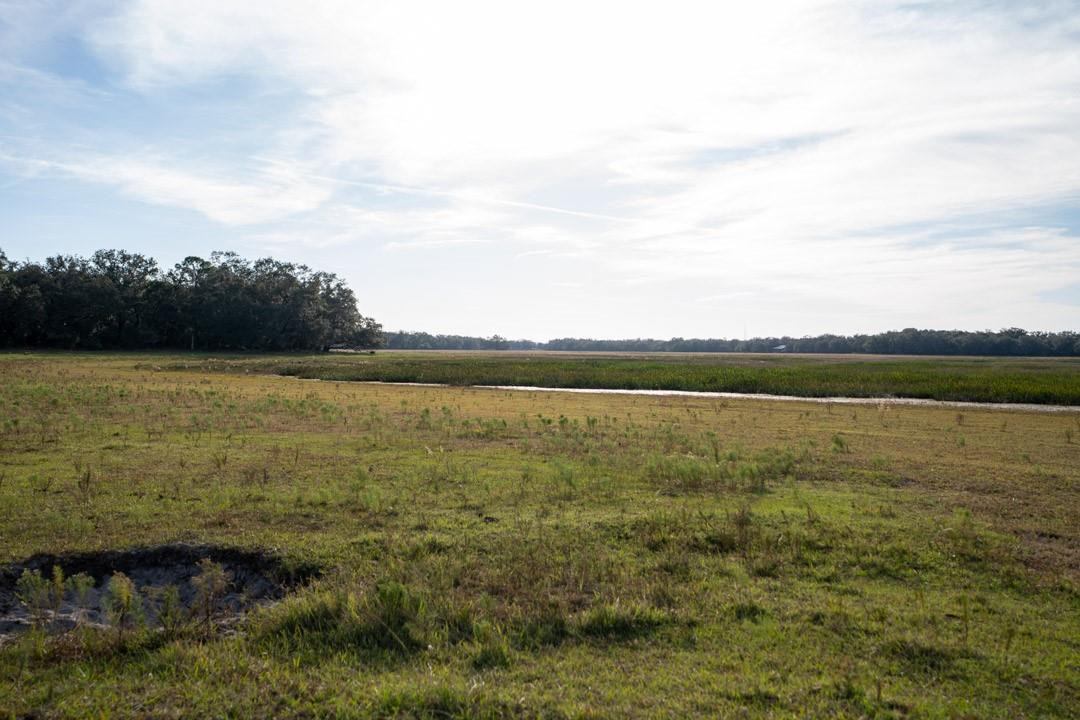 Lake Hatcheneha - Land