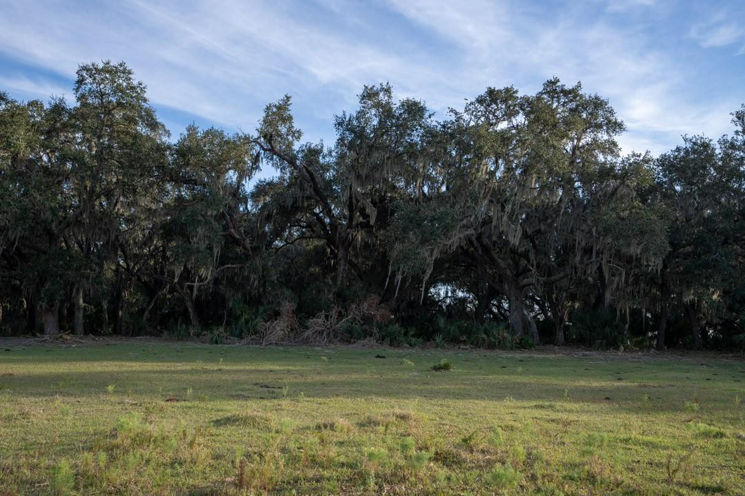 Lake Hatcheneha - Land