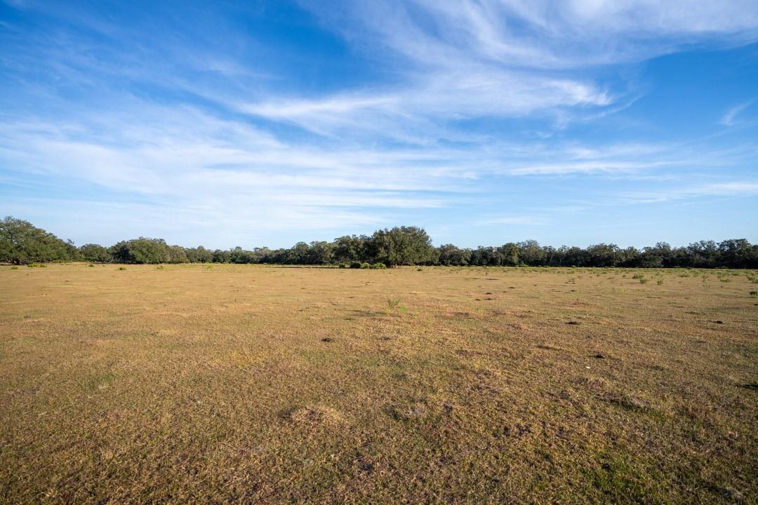 Lake Hatcheneha - Land