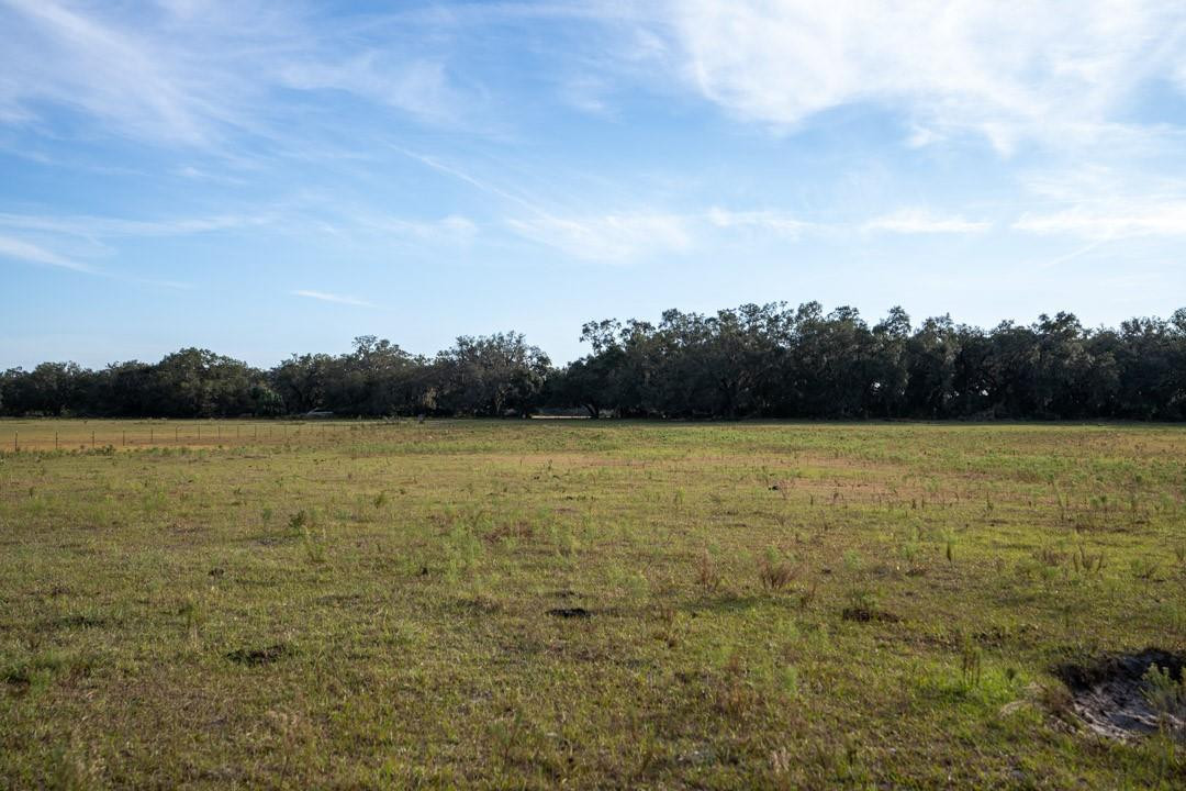 Lake Hatcheneha - Land