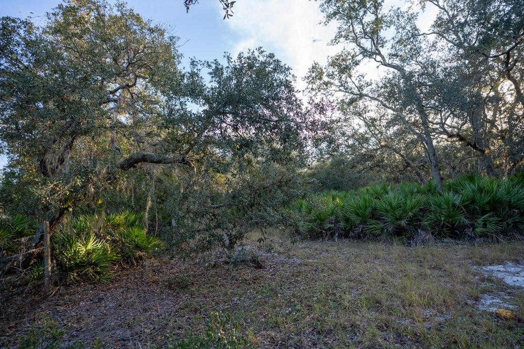 Lake Hatcheneha - Land