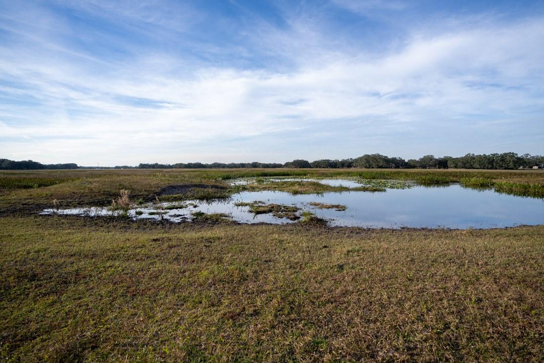 Lake Hatcheneha - Land