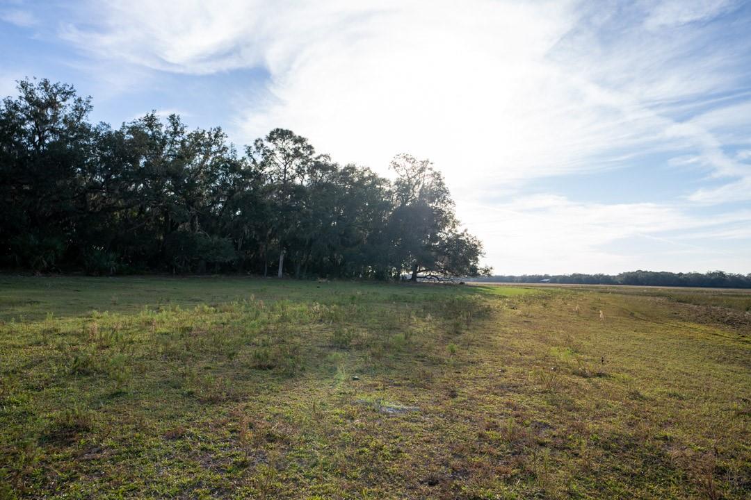 Lake Hatcheneha - Land