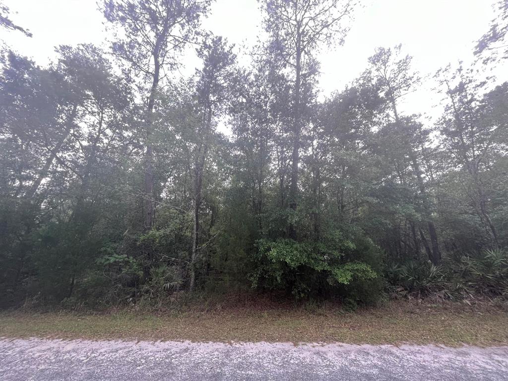 Bring or build you home to this 1.75-acre lot where you can hunt and fish just minutes from your front door. Perfect property for those that love a peaceful country setting. Located minutes to downtown Fort McCoy with grocery store, doctor office, pharmacy, hardware, gas station, pizza delivery and more. Close to Silver Springs which is great for kayaking, boating and outdoor activities. Ocala is just another 20 minutes away with Walmart, Lowes, Bealls, Outback and many more of your favorite shopping and restaurants. Gainesville is only 50 minutes to downtown. If you're a fisherman, hunter or simply love hiking, canoeing or kayaking you are in luck! Minutes to Ocklawaha River, Rodman Reservoir boat ramp, Ocala National Forest and many natural springs (Salt Springs, Silver Glen Springs,