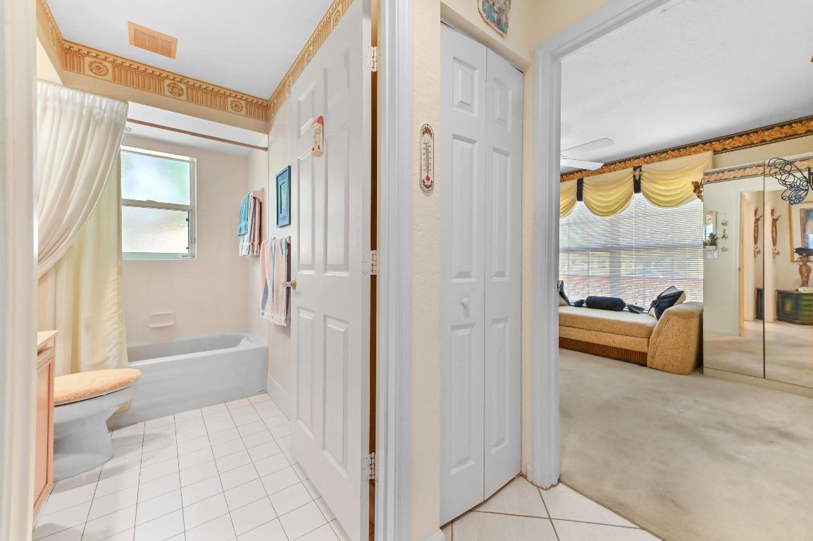 OLIVE TREE - Residential