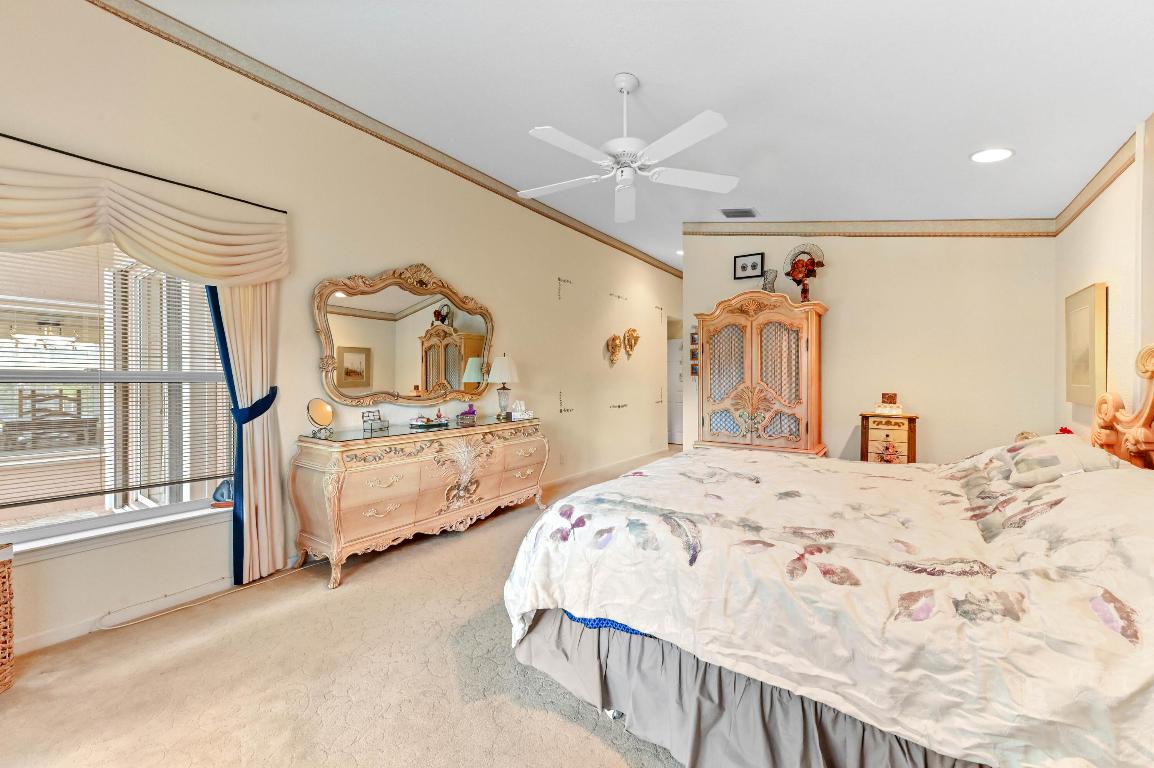 OLIVE TREE - Residential