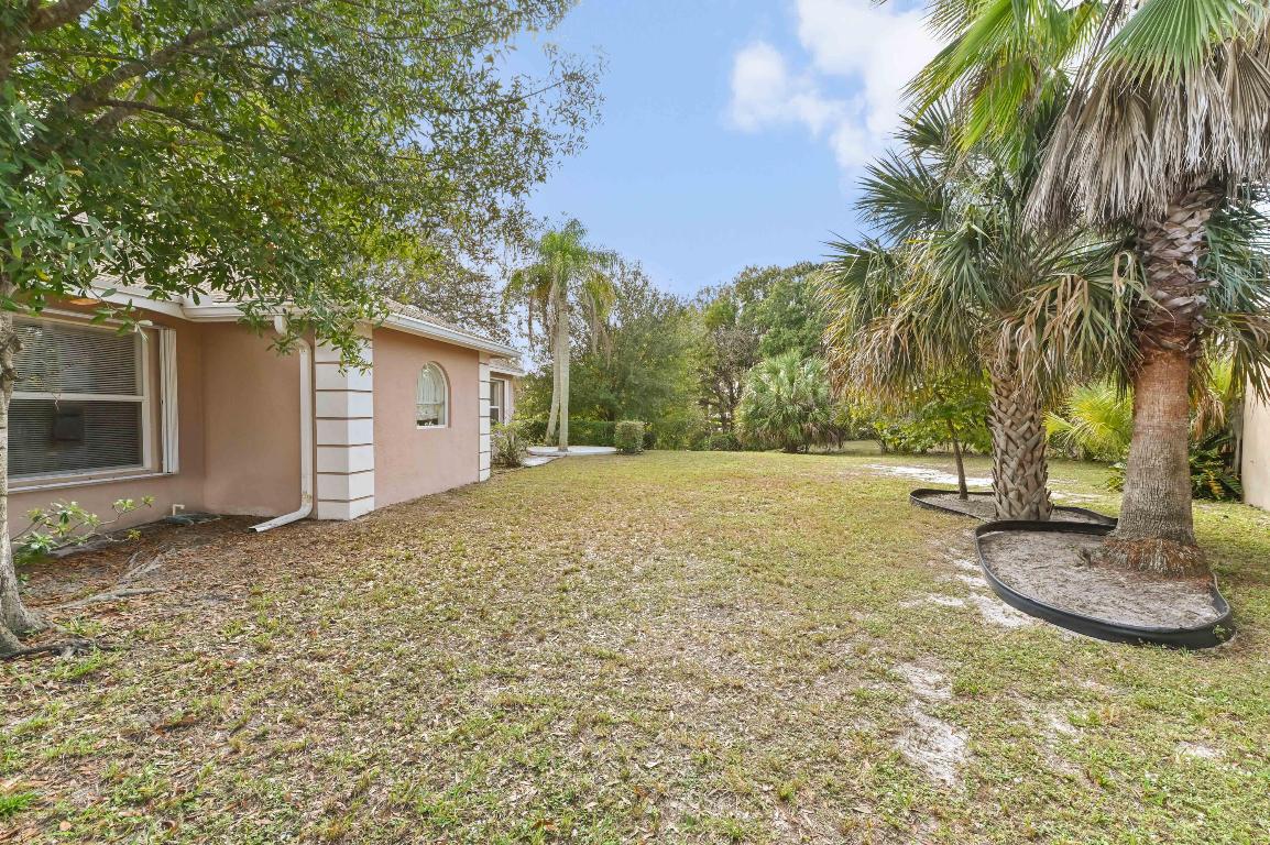 OLIVE TREE - Residential