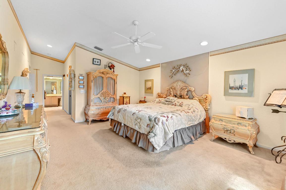 OLIVE TREE - Residential