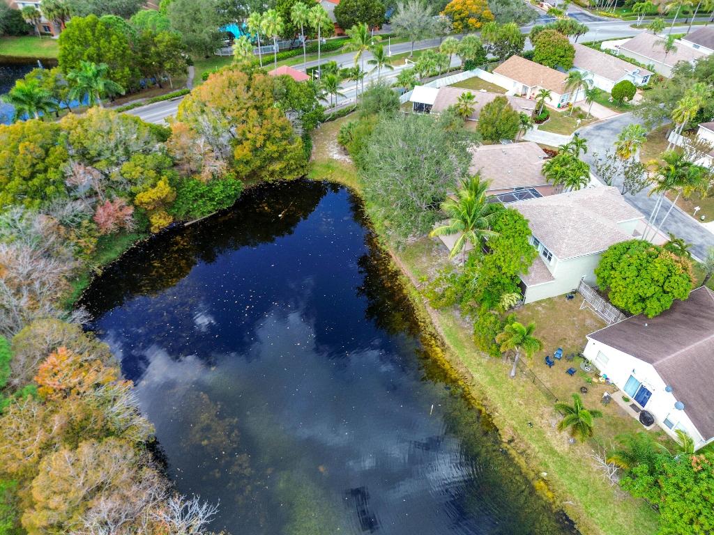 OLIVE TREE - Residential