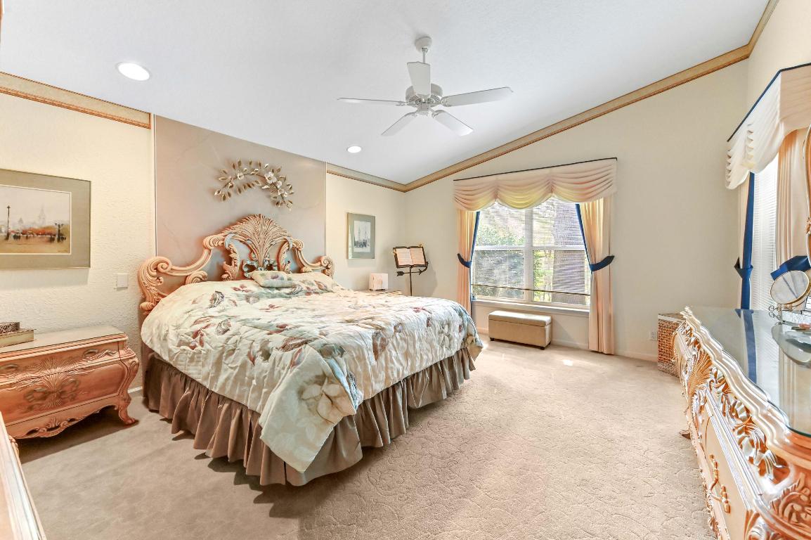 OLIVE TREE - Residential