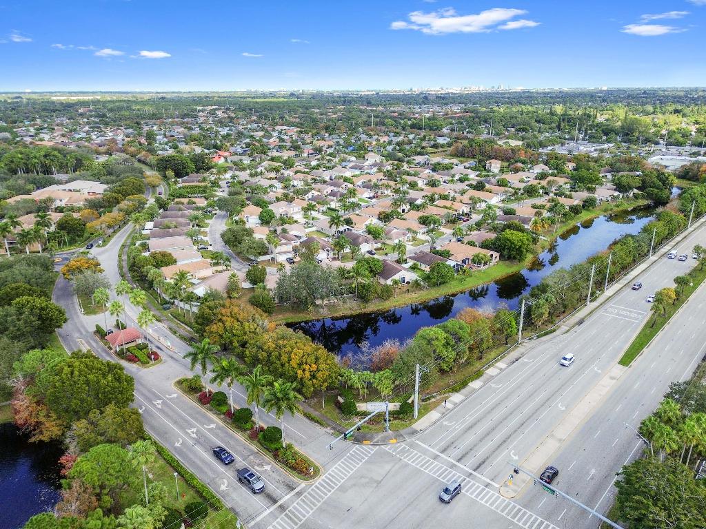 OLIVE TREE - Residential