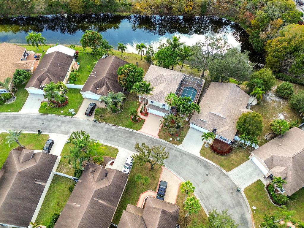 OLIVE TREE - Residential