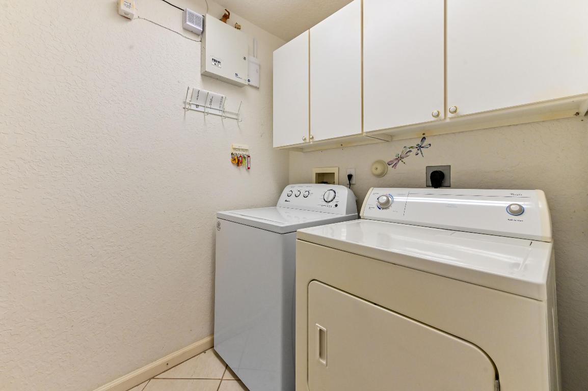 OLIVE TREE - Residential