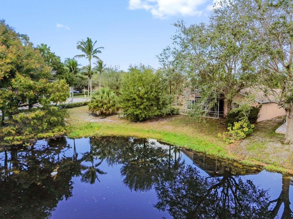 OLIVE TREE - Residential