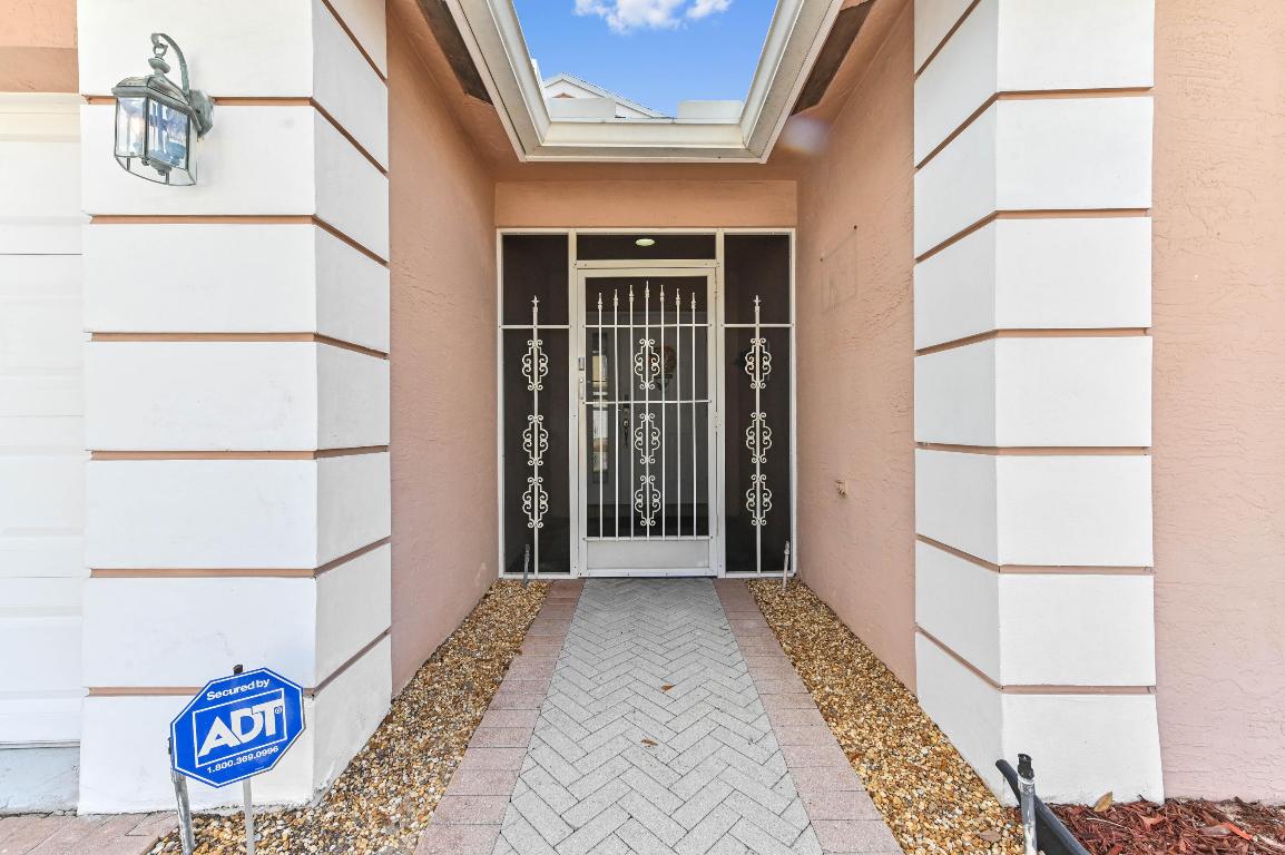 OLIVE TREE - Residential