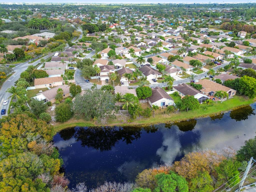 OLIVE TREE - Residential