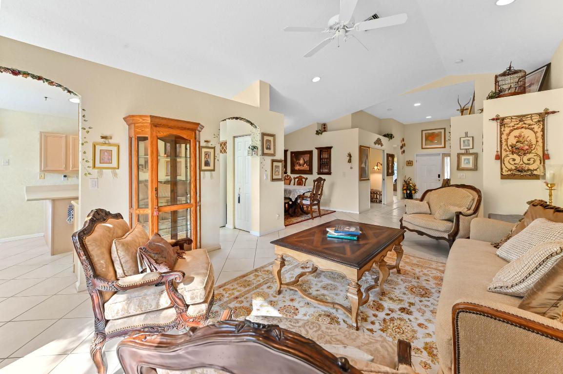 OLIVE TREE - Residential