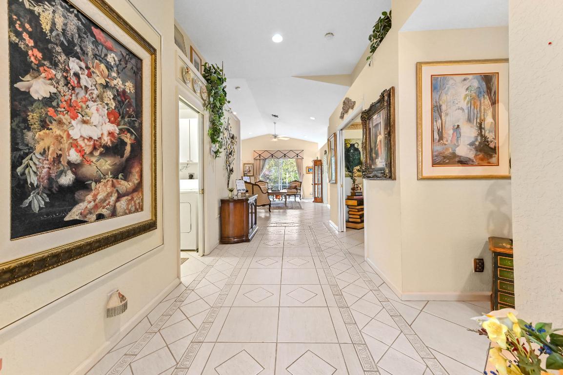 OLIVE TREE - Residential