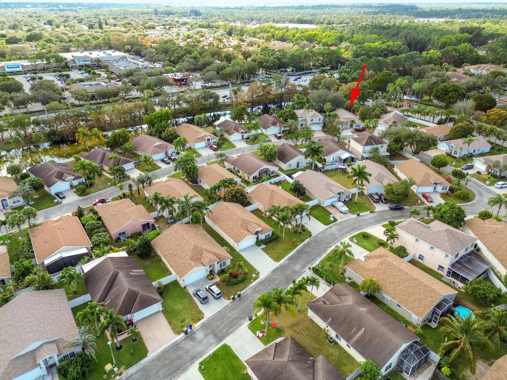 OLIVE TREE - Residential