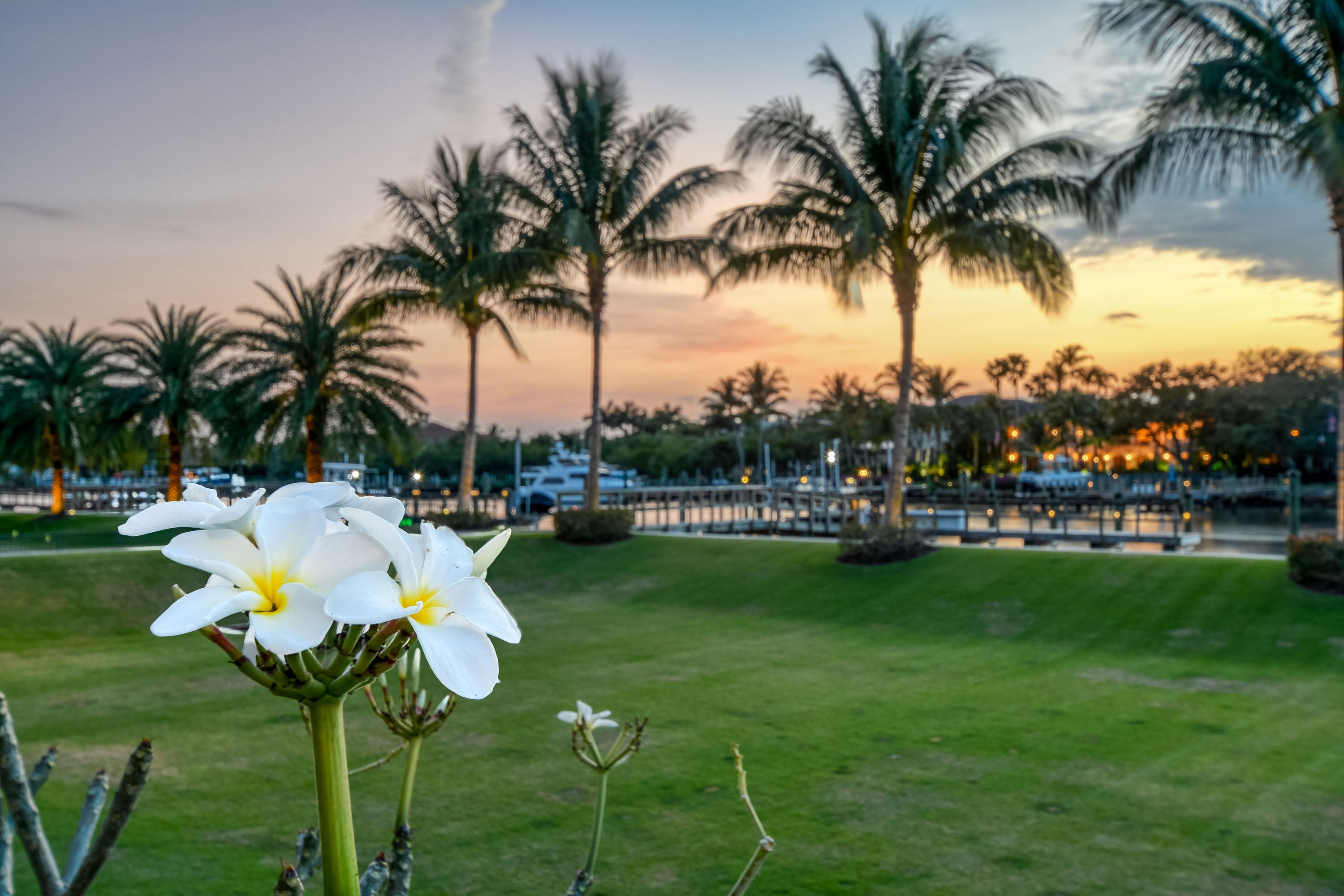 FRENCHMANS HARBOR- ADMIRALS COLLECTIONS - Residential