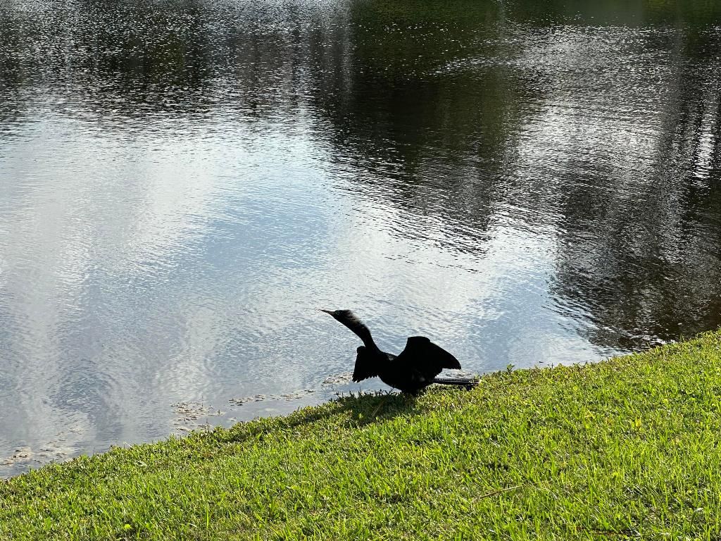 Photo of 5678 Emerald Cay Terrace, Boynton Beach, FL 33437 (MLS # R10965164)