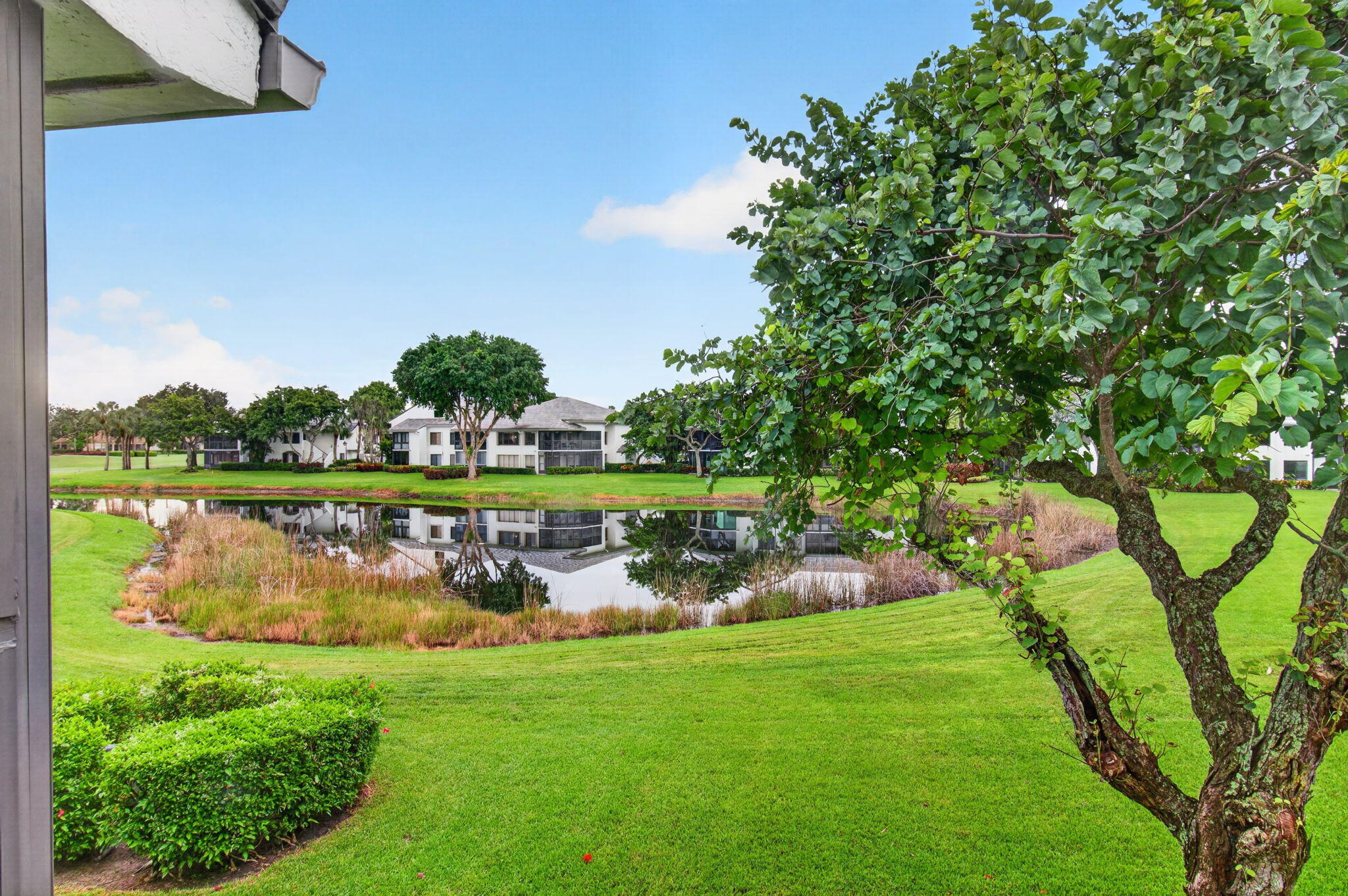 7344 Clunie Place 13605