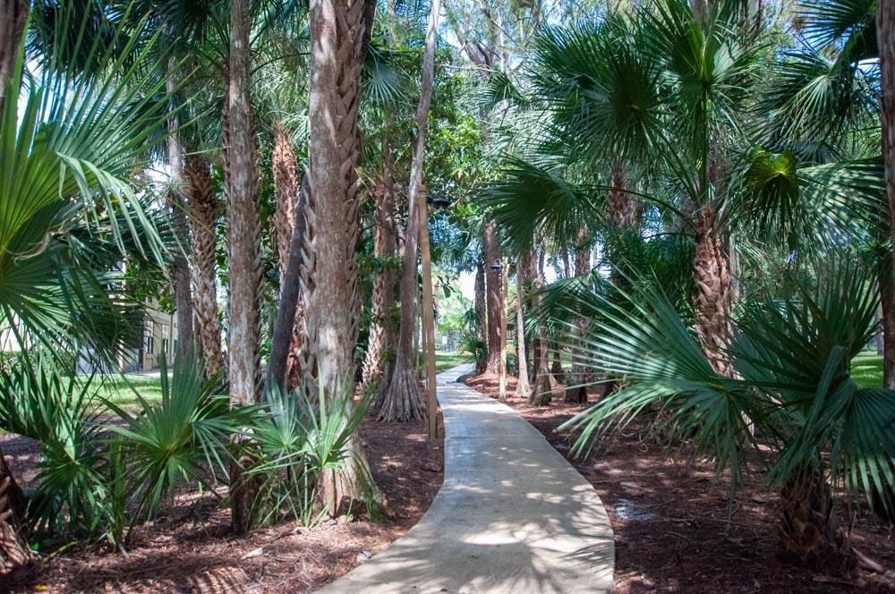 SHEFFIELD WOODS AT WELLINGTON CONDO - Residential Lease
