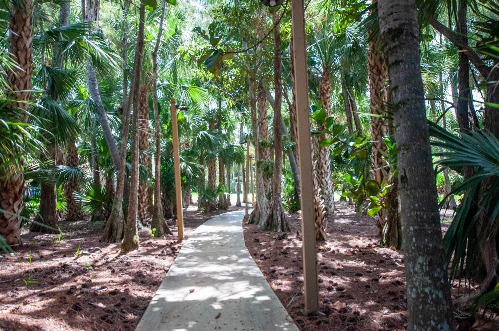 SHEFFIELD WOODS AT WELLINGTON CONDO - Residential Lease
