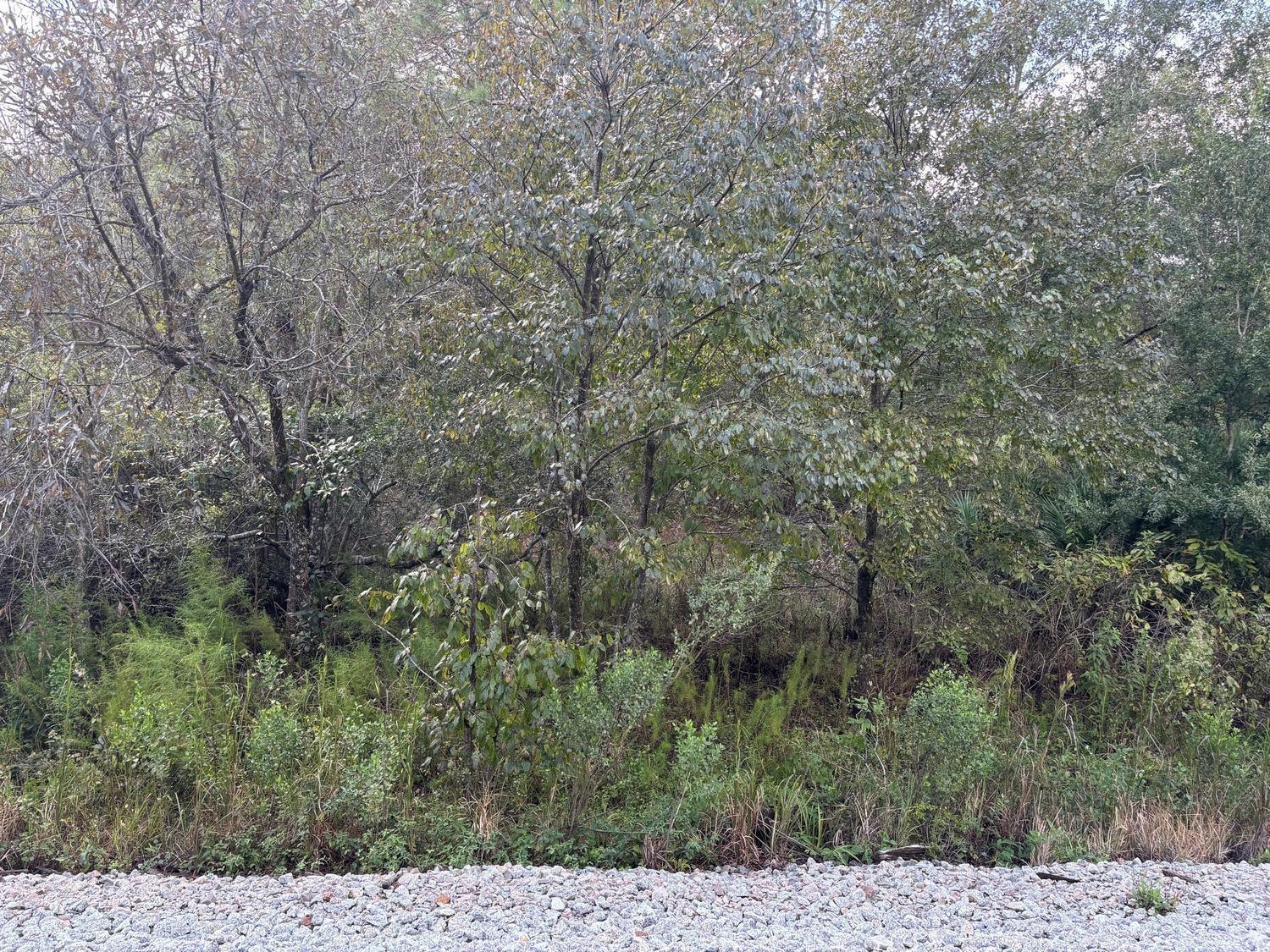 Rancho Bonito RB22 - Land