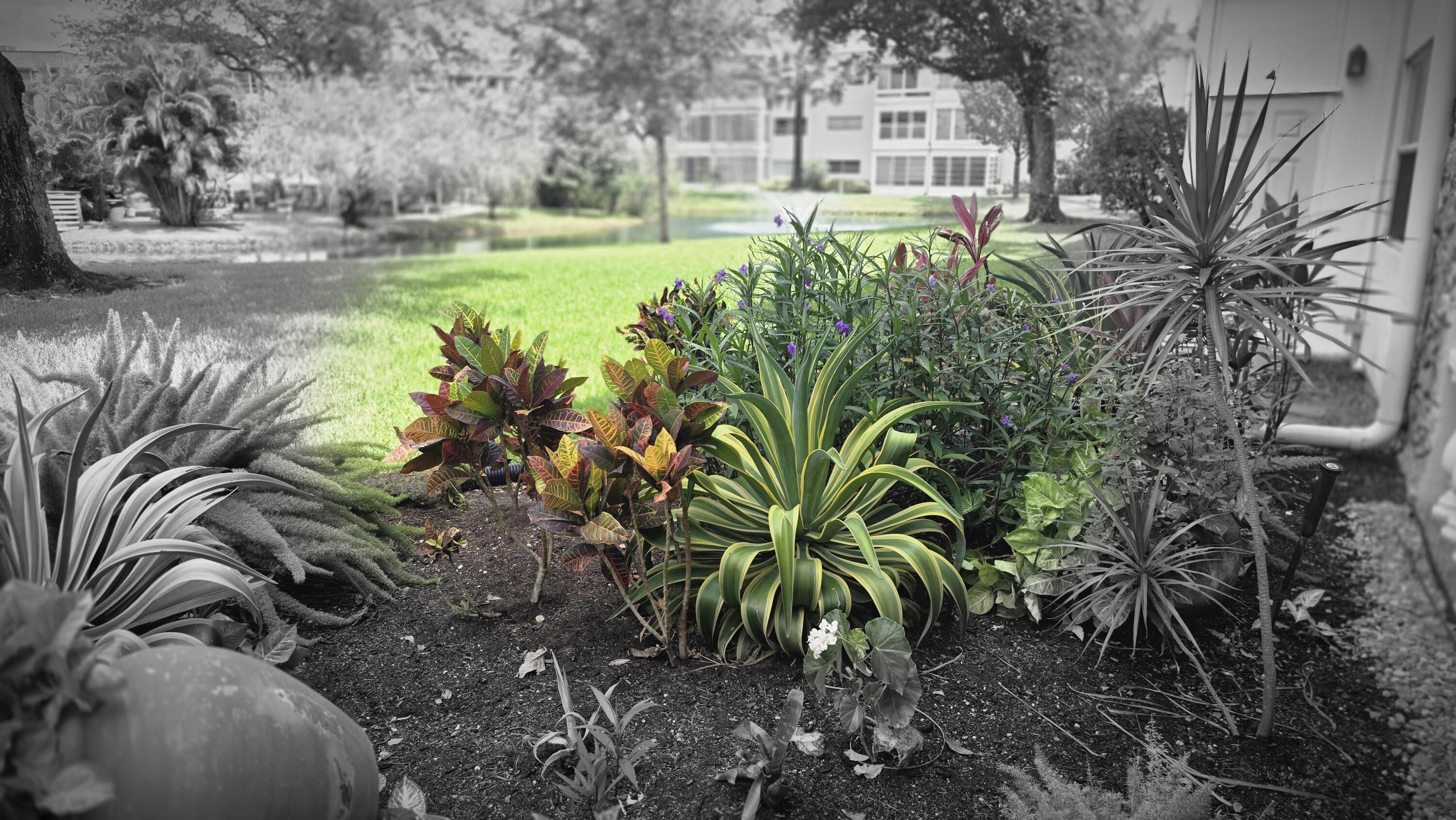 OLEANDER GARDENS CONDO - Residential