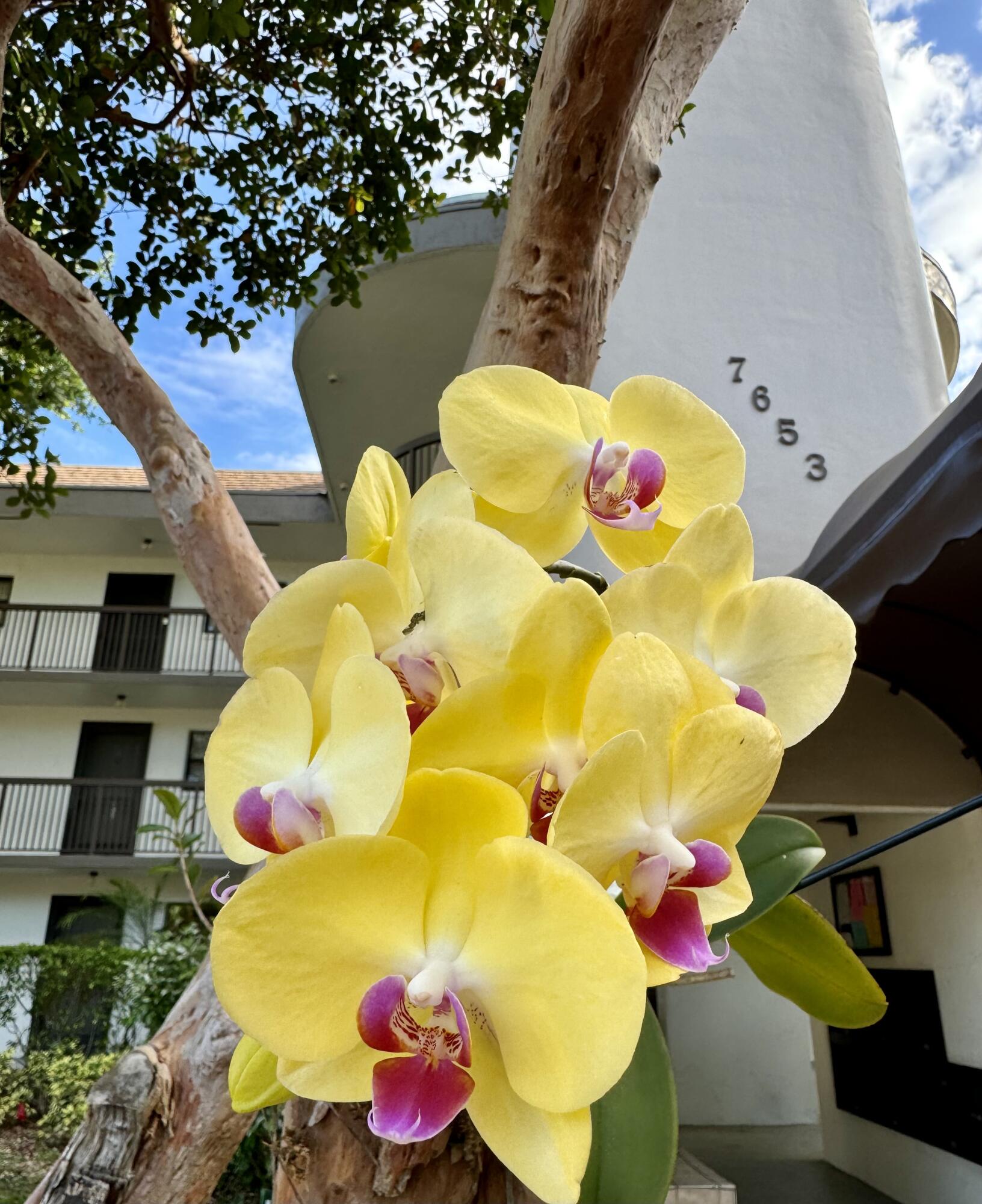 Bonaire at Woodmont - Residential