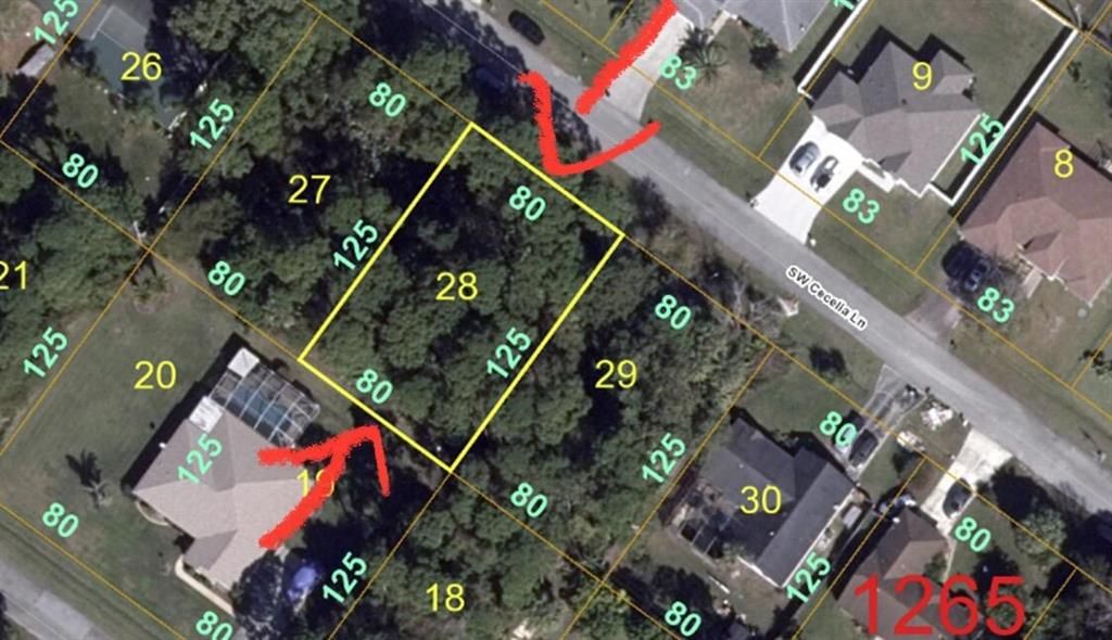 Photo of 1852 SW Cecelia Lane, Port Saint Lucie, FL 34953 (MLS # R10799466)