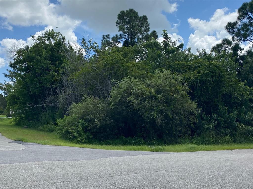 Photo of 490 SW Dahled Avenue, Port Saint Lucie, FL 34953 (MLS # R10742389)
