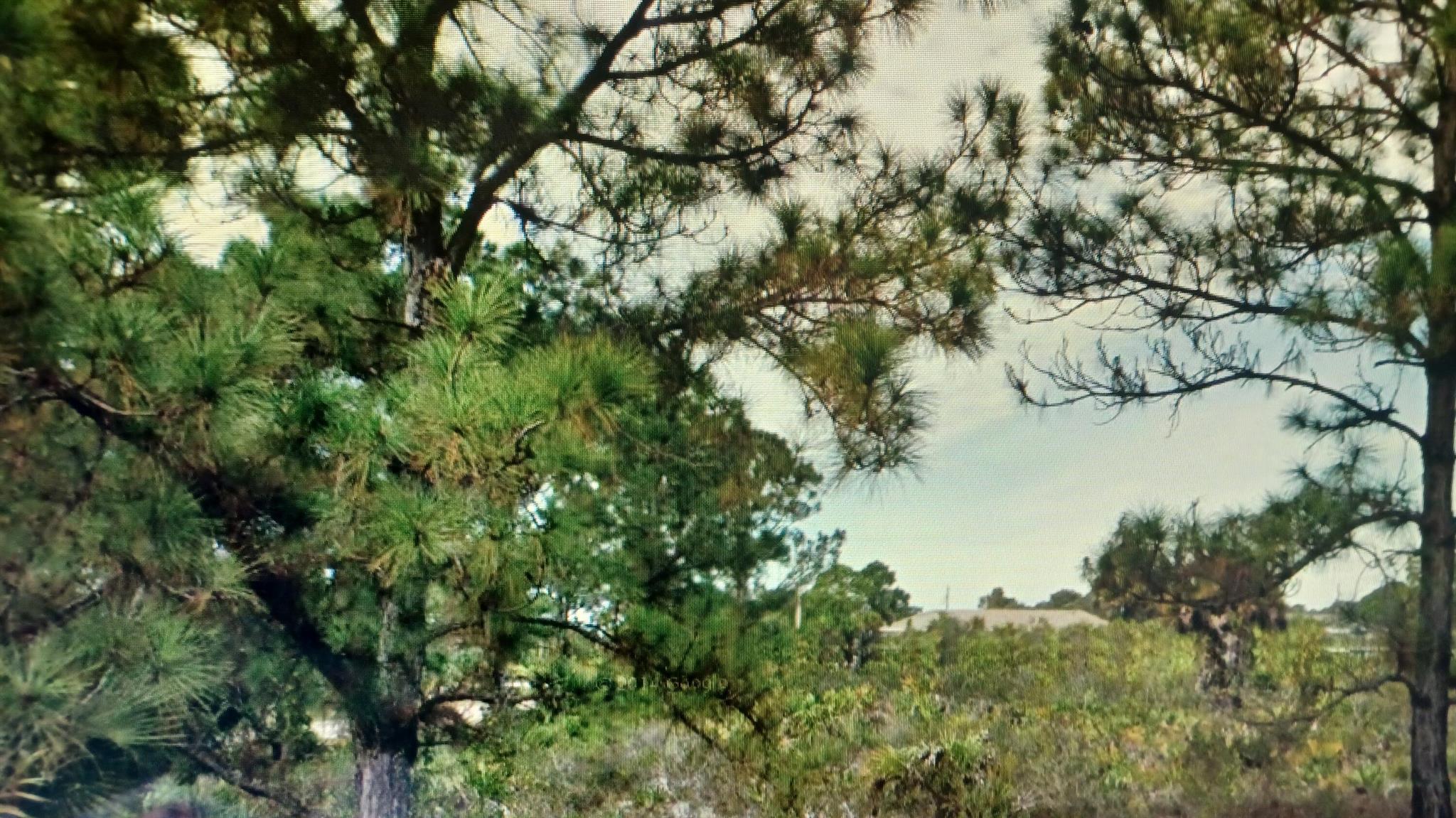 THIS OVERSIZED CORNER LOT IS RIPE FOR BUILDING YOUR NEW HOME!GREAT LOCATION !