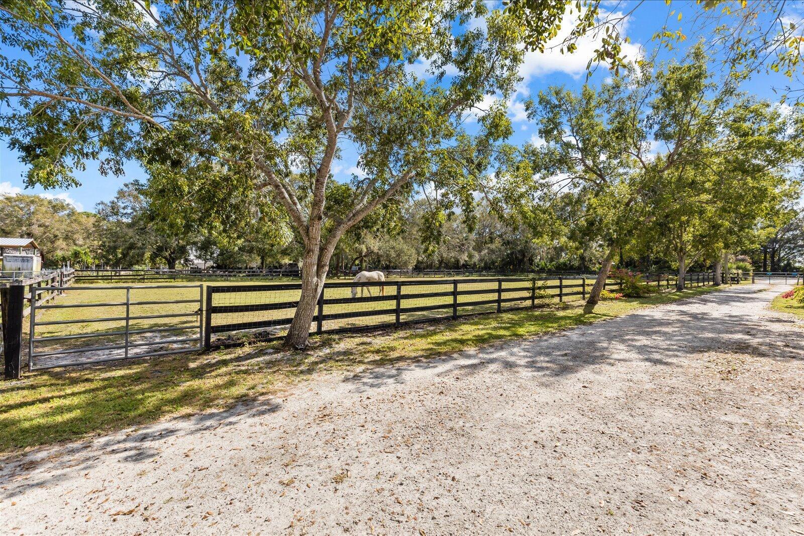 INDIAN MOUND TRAILS - Residential
