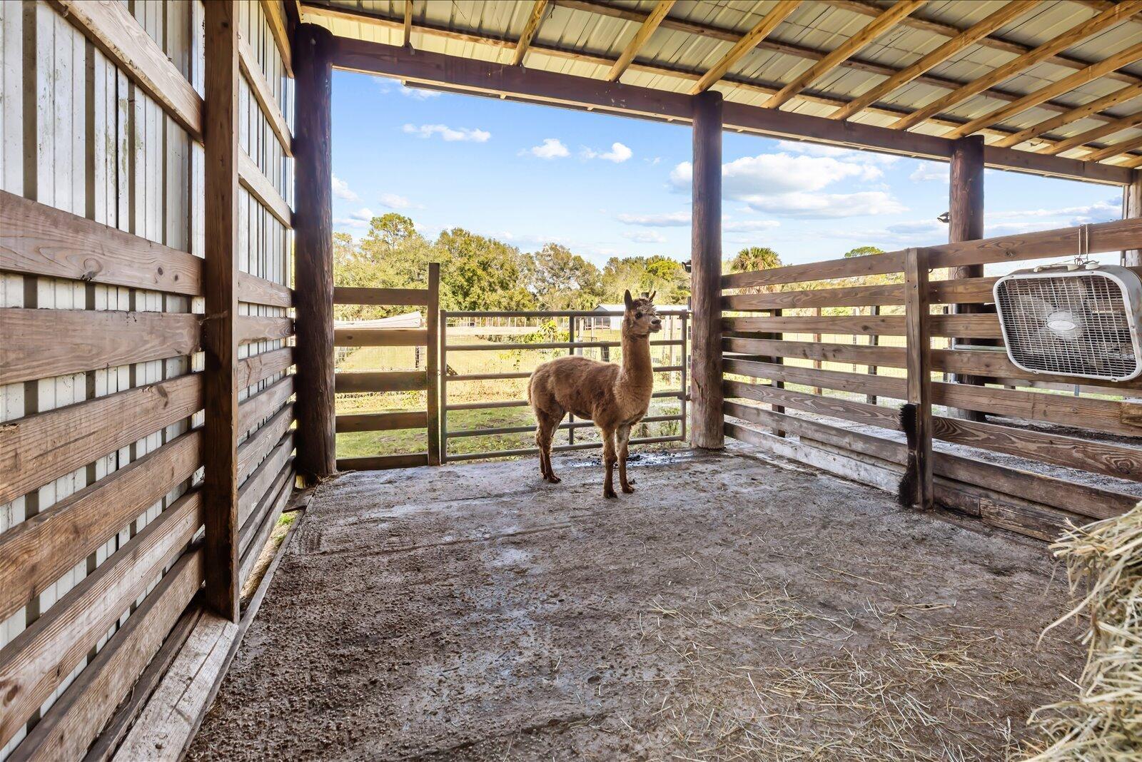 INDIAN MOUND TRAILS - Residential