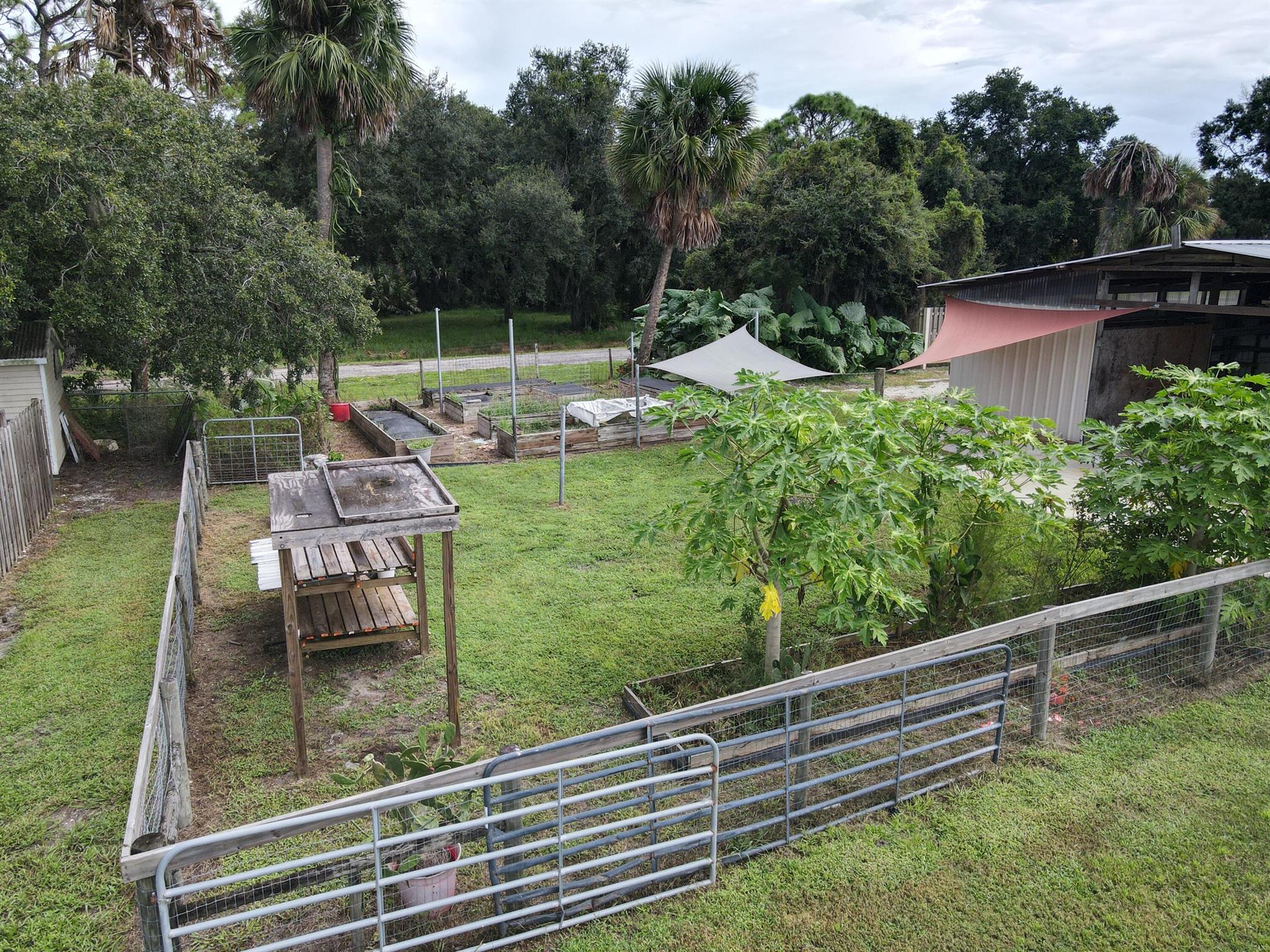 OAK HAMMOCK - Residential