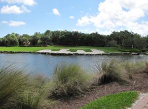 ADDISON RESERVE PAR 15 - Residential