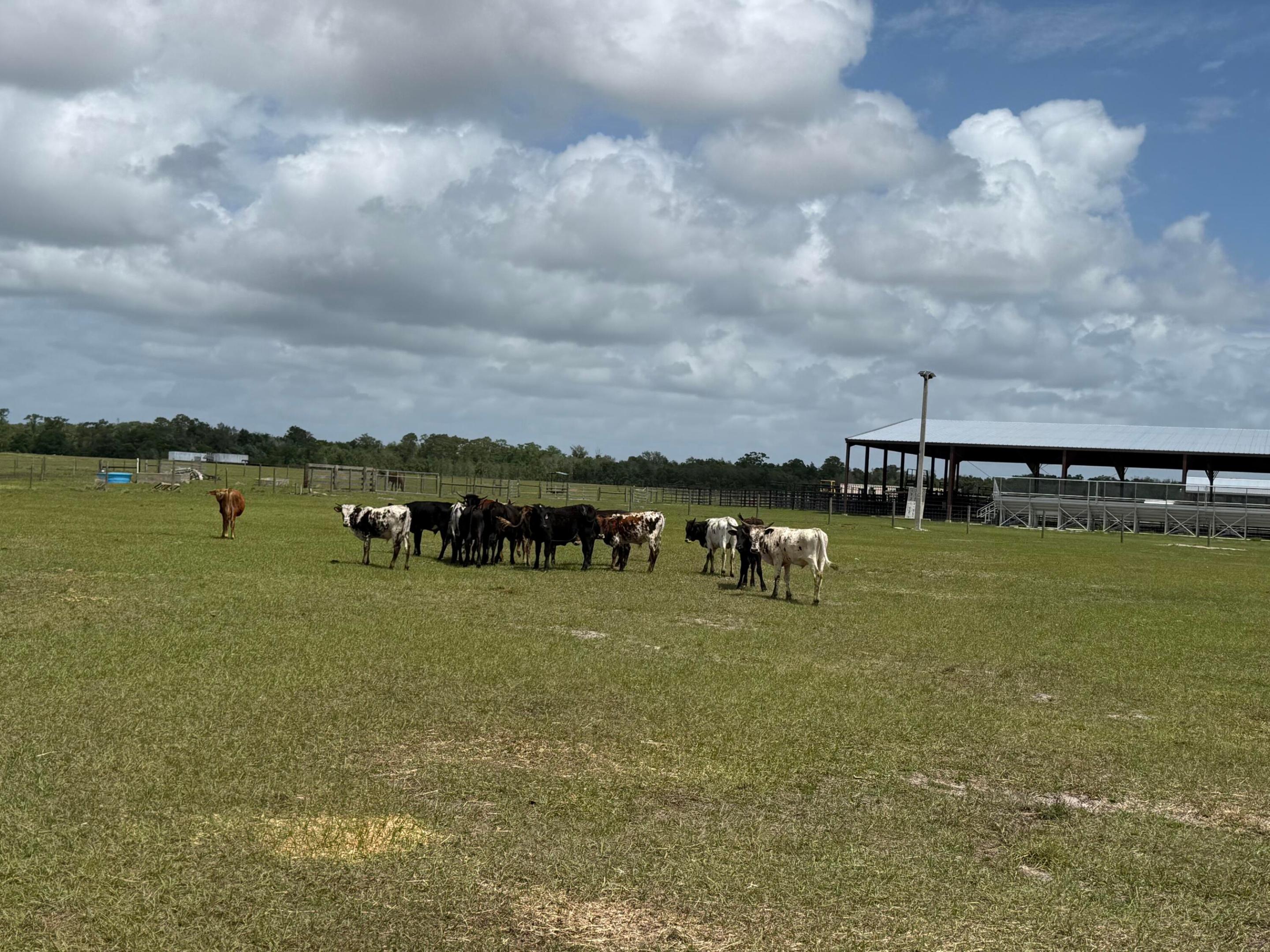 LAKE MONTAZA ESTATES SECTION - Land