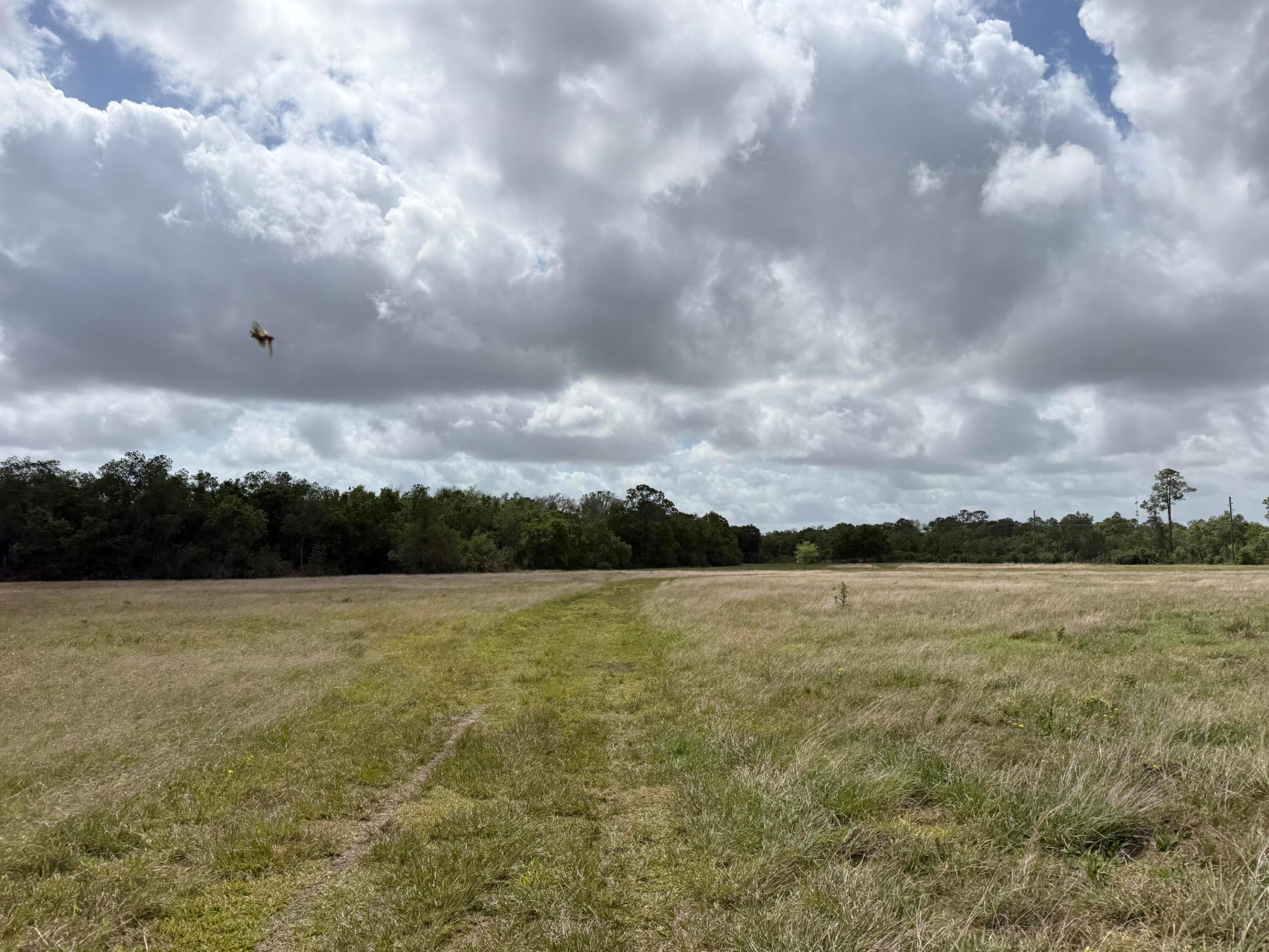 LAKE MONTAZA ESTATES SECTION - Land