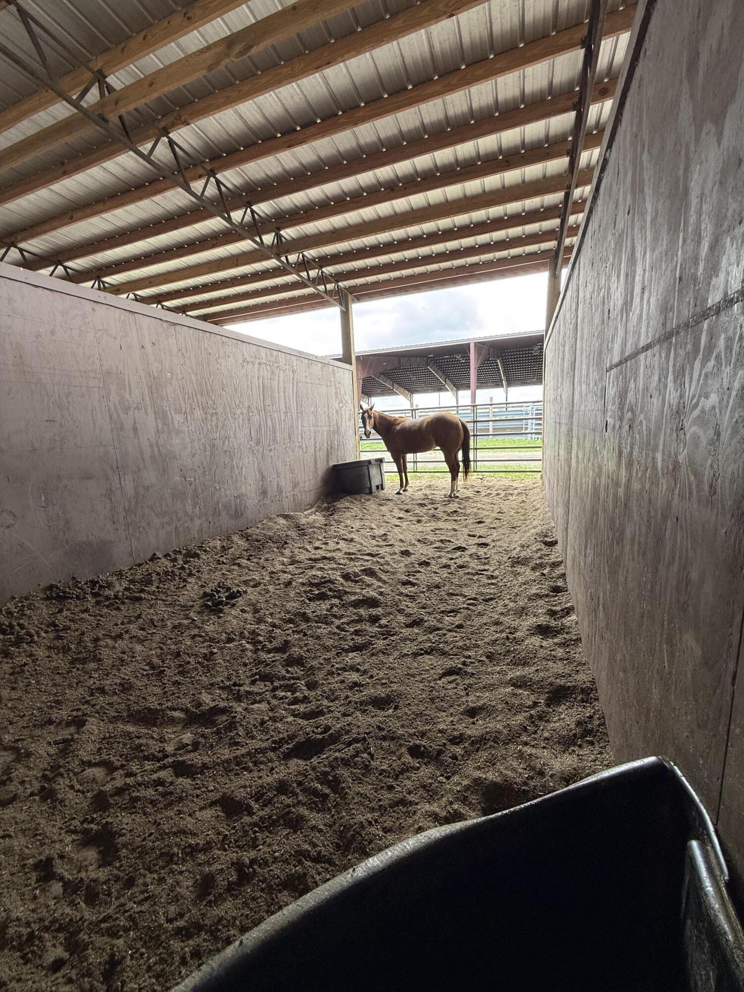 LAKE MONTAZA ESTATES SECTION - Land