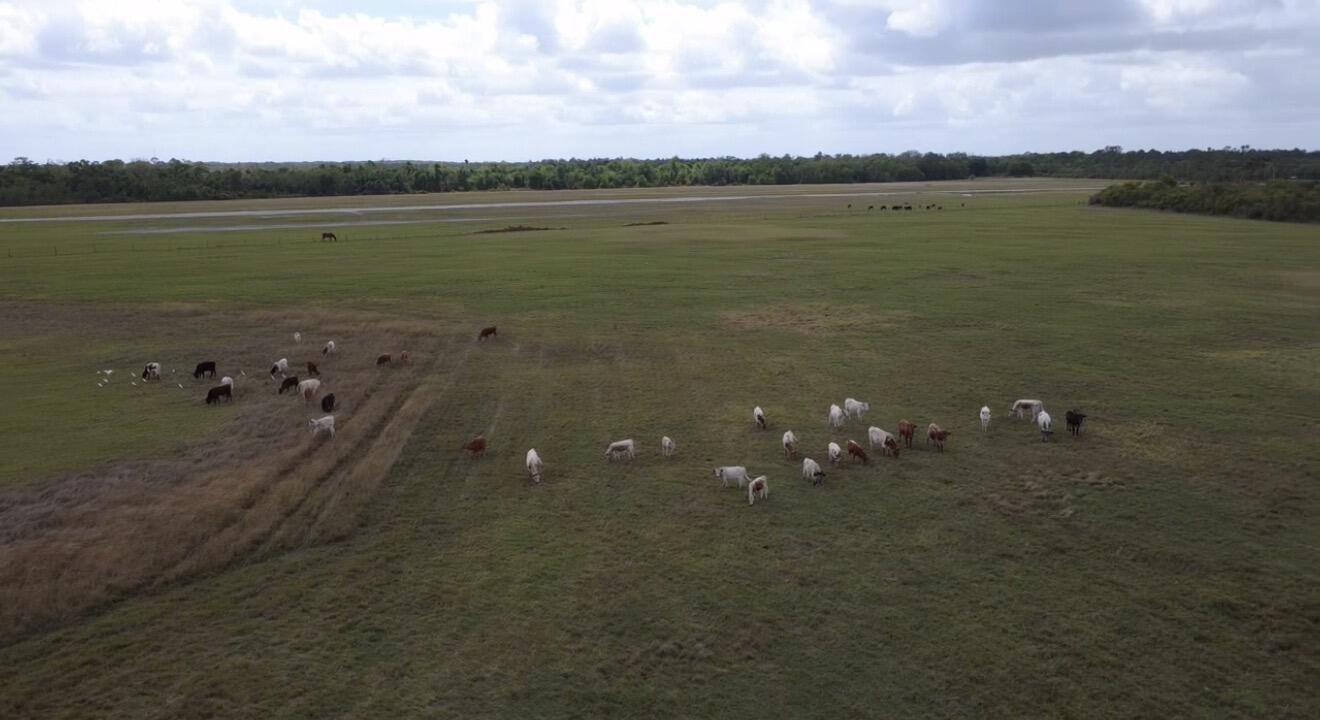 LAKE MONTAZA ESTATES SECTION - Land