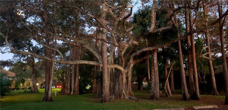 BANYAN LAKES - Residential Lease