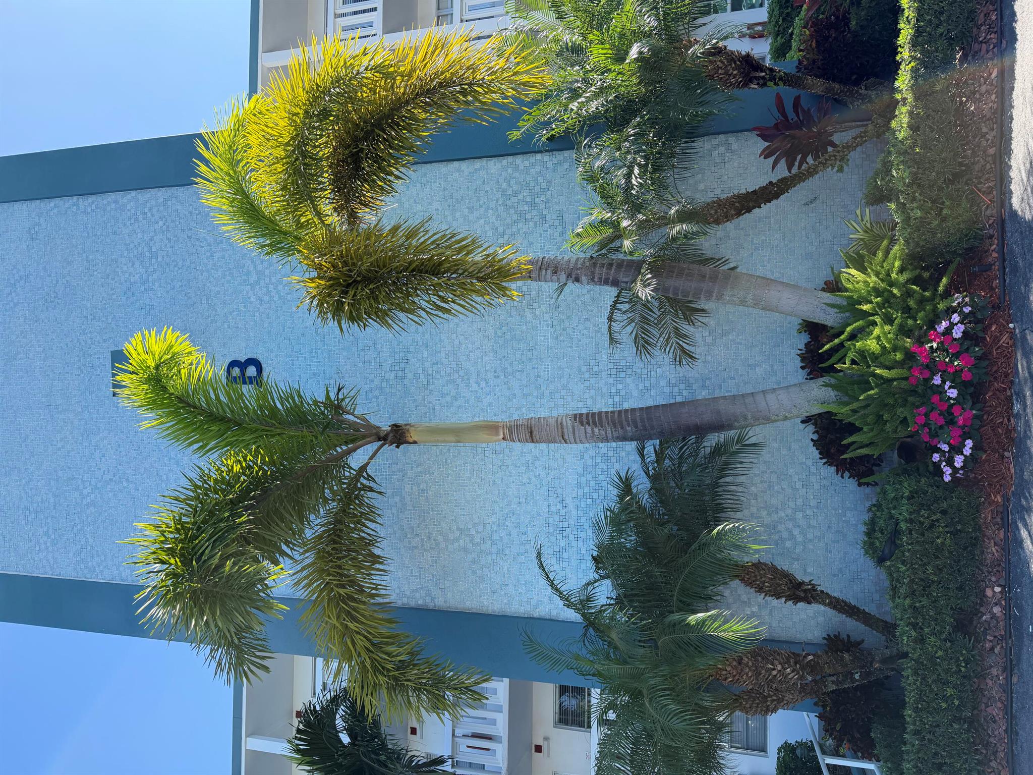 CENTURY VILLAGE - Residential Lease