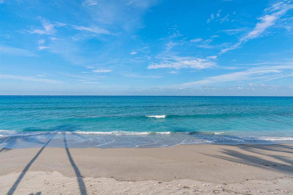 Palm Beach - Residential