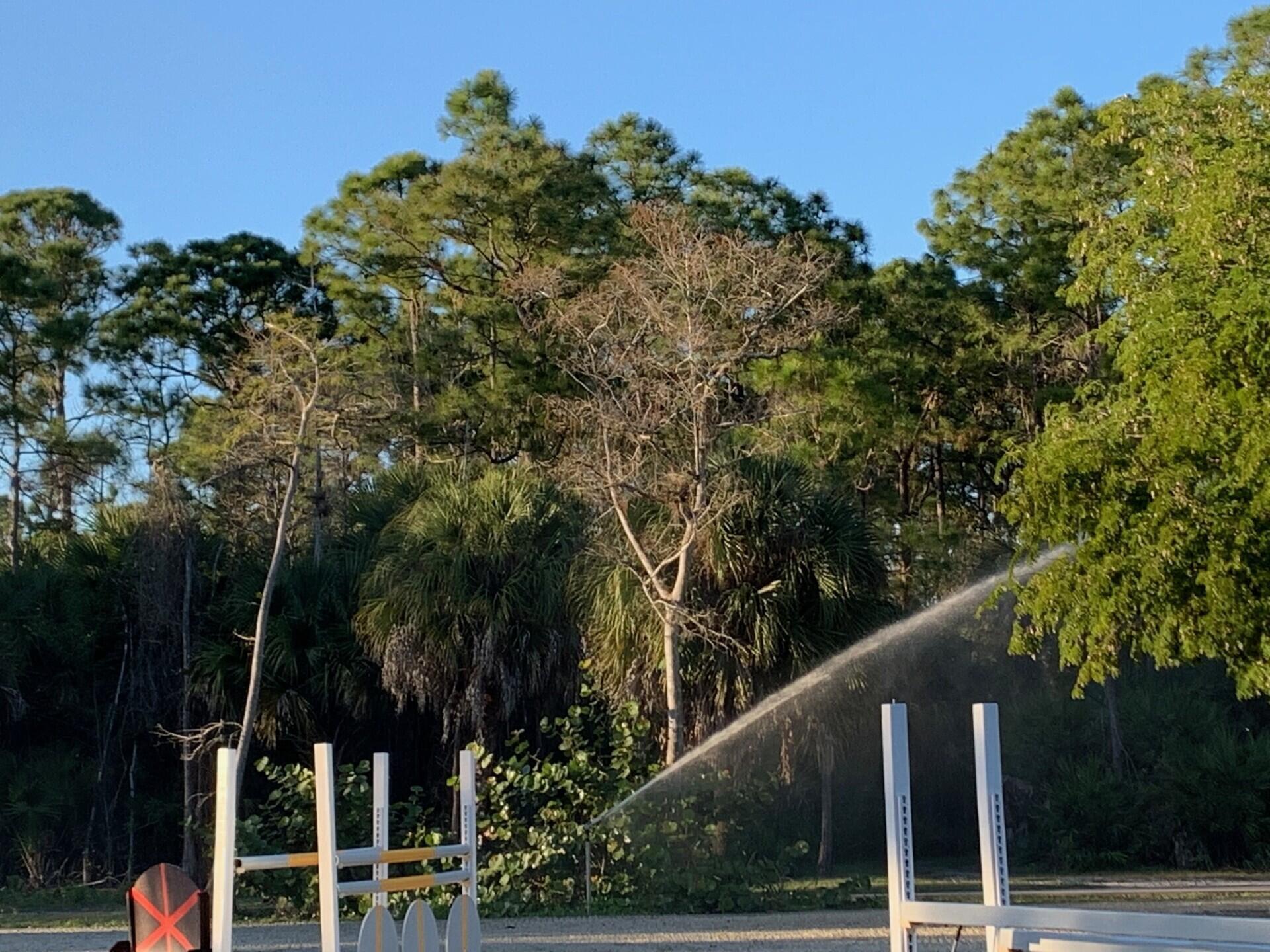 Fox Trail - Residential Lease