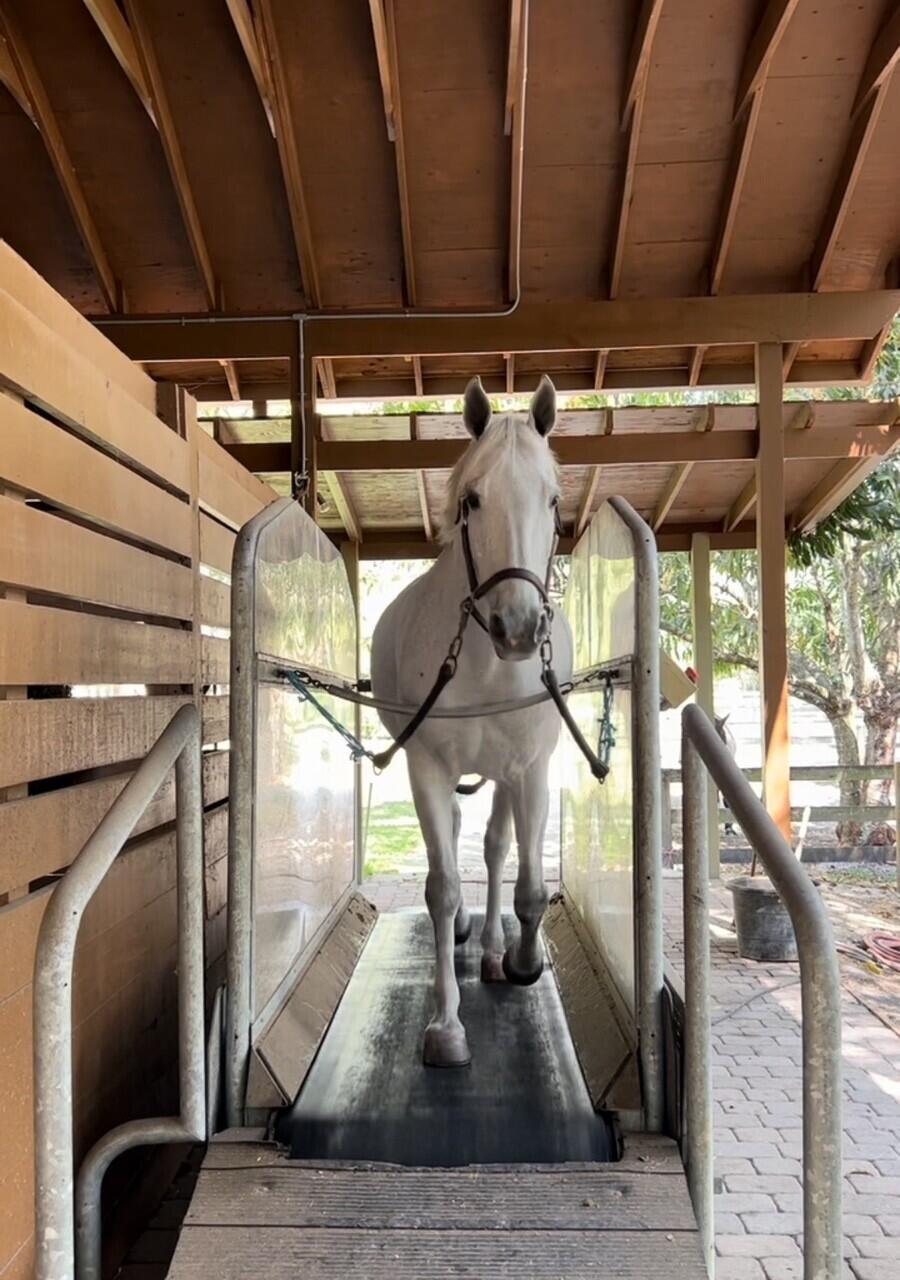 Fox Trail - Residential Lease