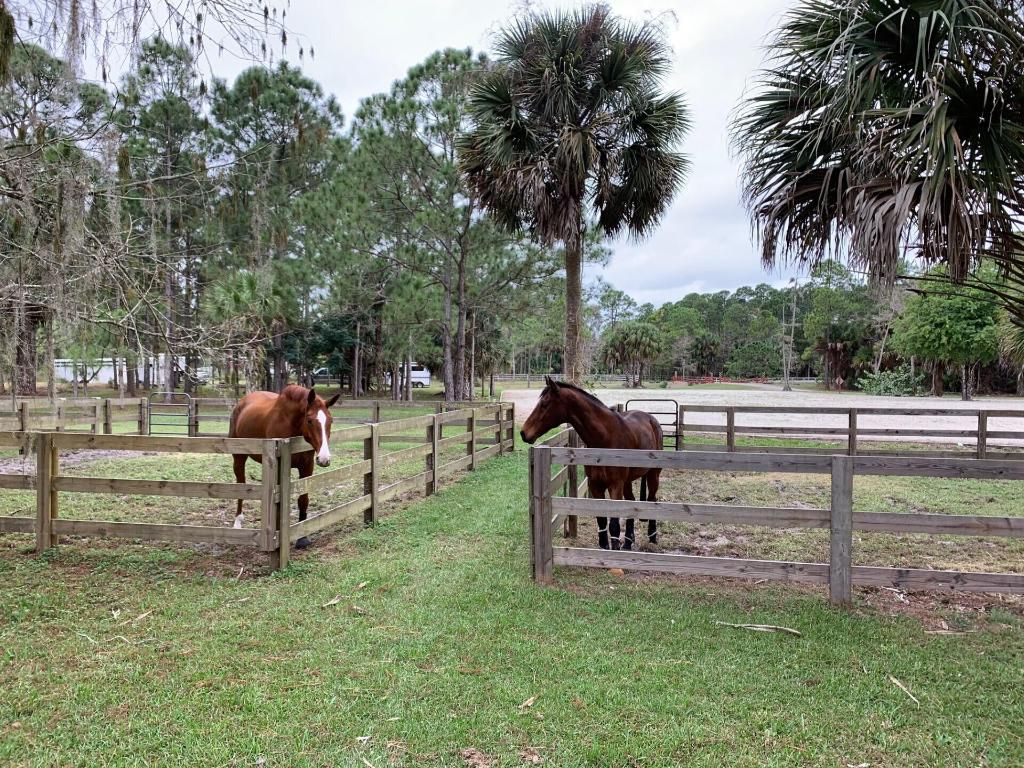 Photo of 1711 Stallion Drive, Loxahatchee, FL 33470 (MLS # R11138655)